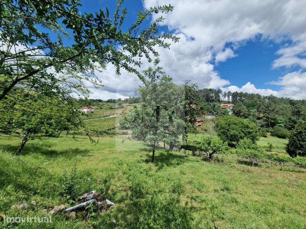 Terreno de 10.000 m2 em Parada de Cunhos, Vila Real - Grande imagem: 5/24