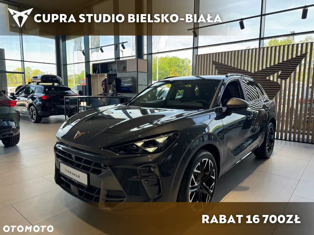 Cupra Terramar - 2