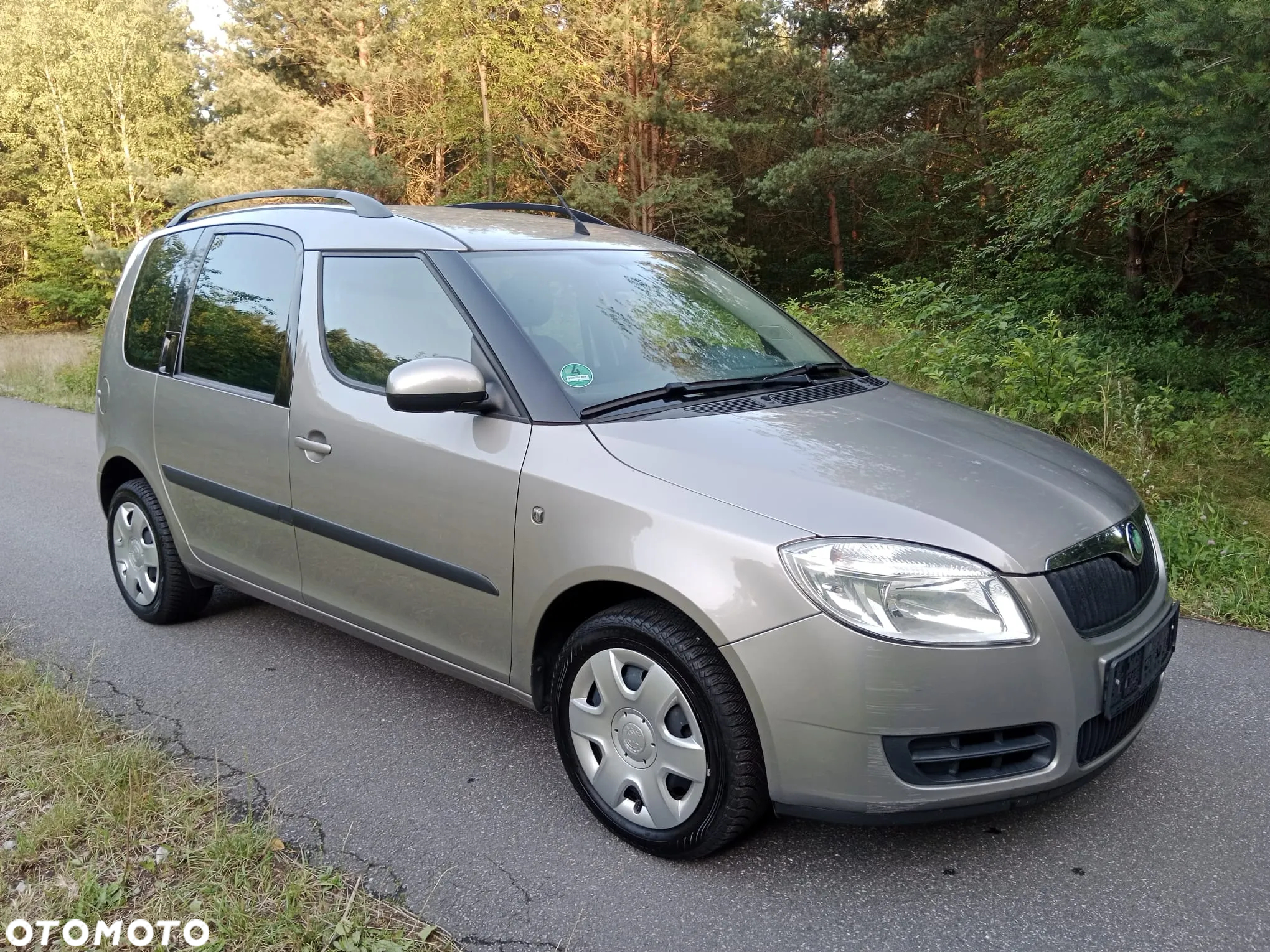 Skoda Roomster - 3