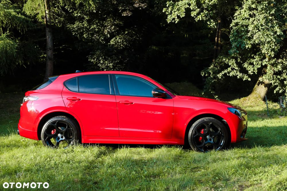 Alfa Romeo Stelvio 2.0 Turbo Tributo Italiano Q4 - 9