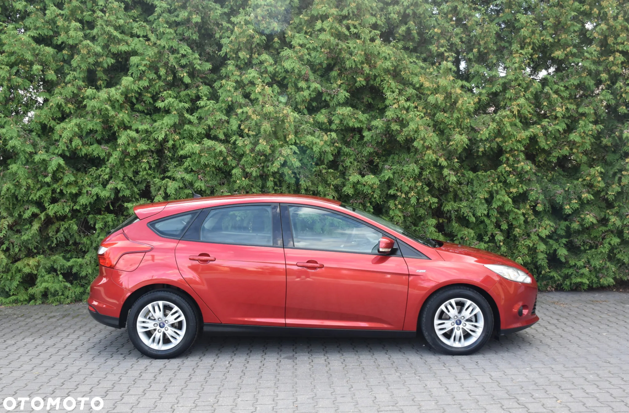 Ford Focus 1.6 TDCi DPF Start-Stopp-System Titanium - 6