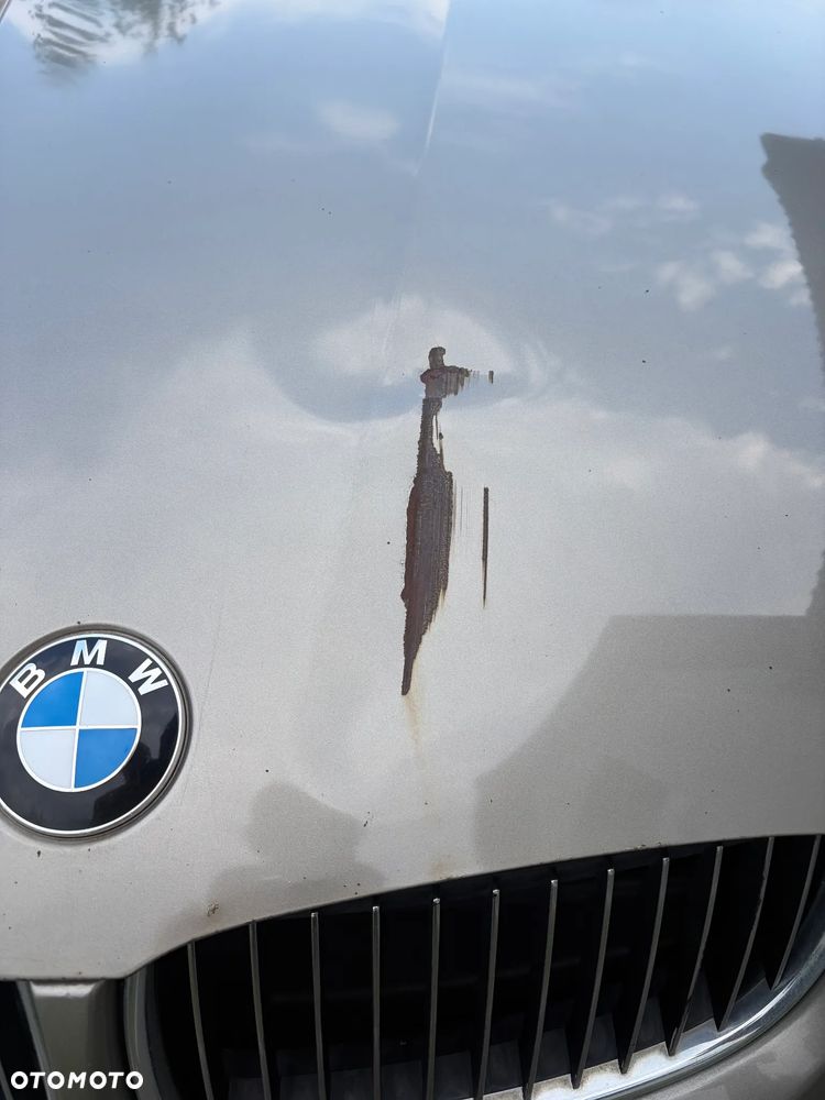 BMW Seria 3 318d DPF - 23