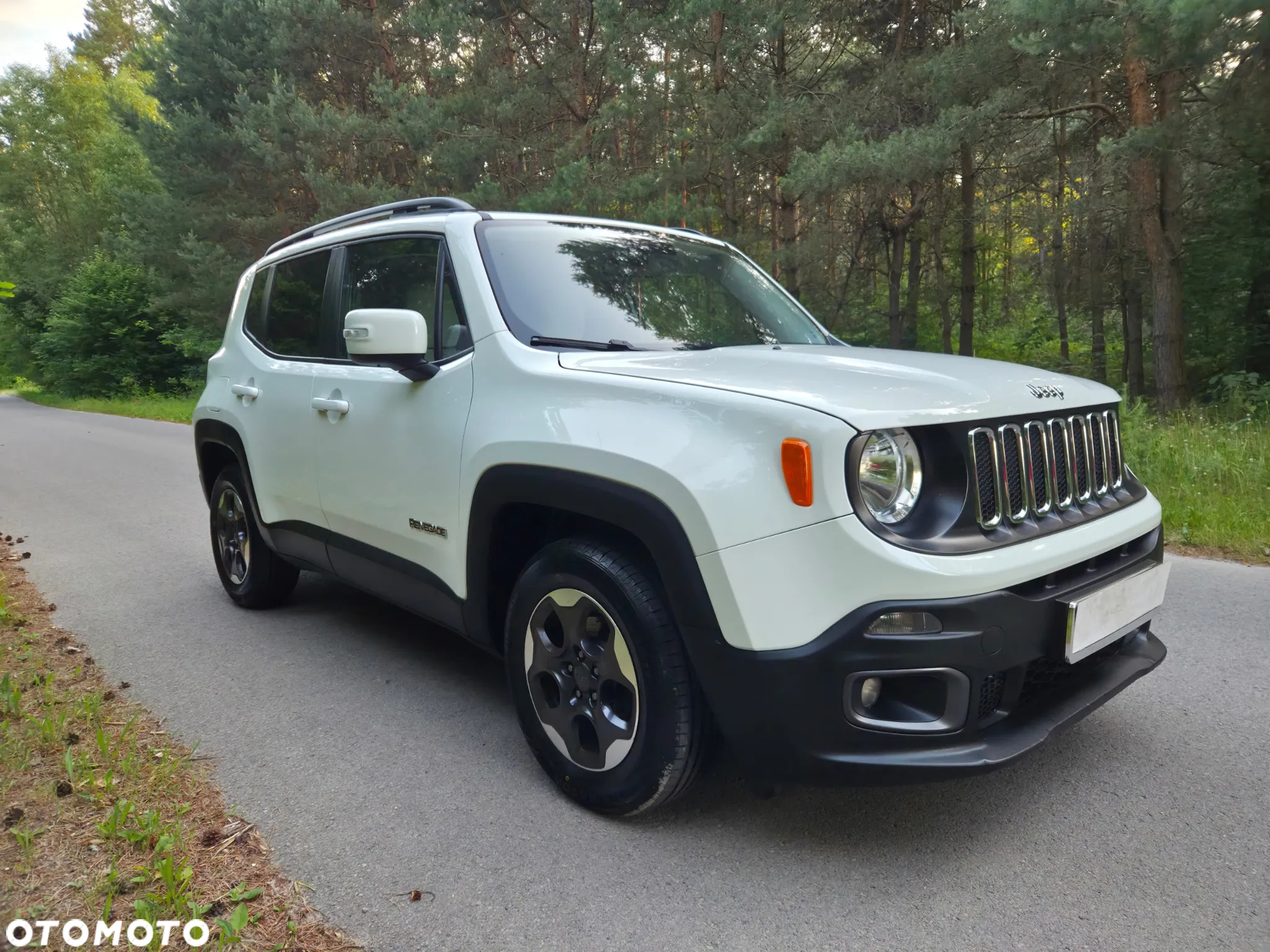 Jeep Renegade 1.4 MultiAir DSG Business Line - 2