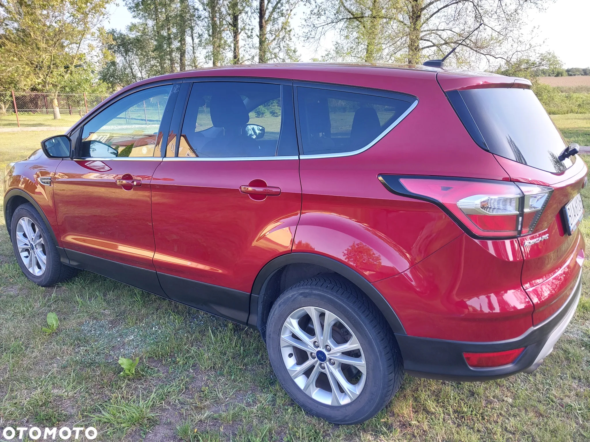 Ford Escape - 11