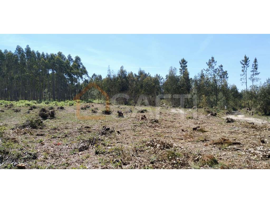 Terreno em zona industrial - Grande imagem: 2/8