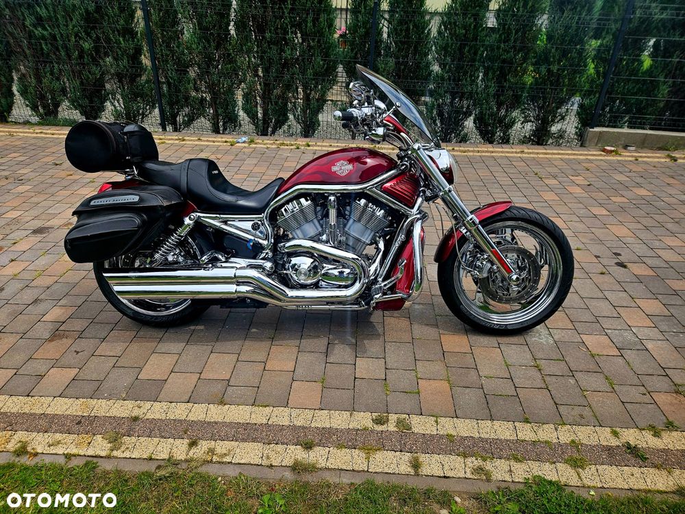 Harley-Davidson Softail V-Rod - 6