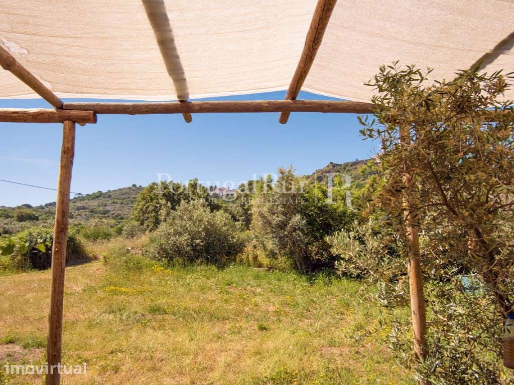 Quinta com 2,5 ha em pleno Parque Natural da Serra de São Mamede - Grande imagem: 5/24