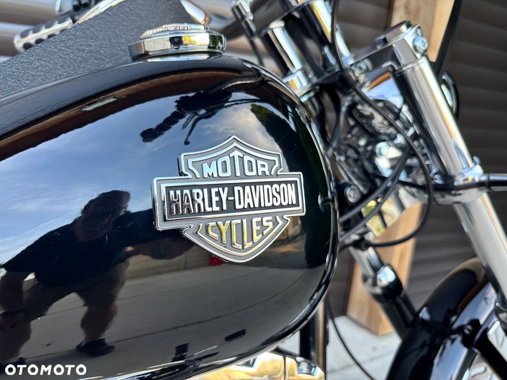 Harley-Davidson Softail Standard - 13