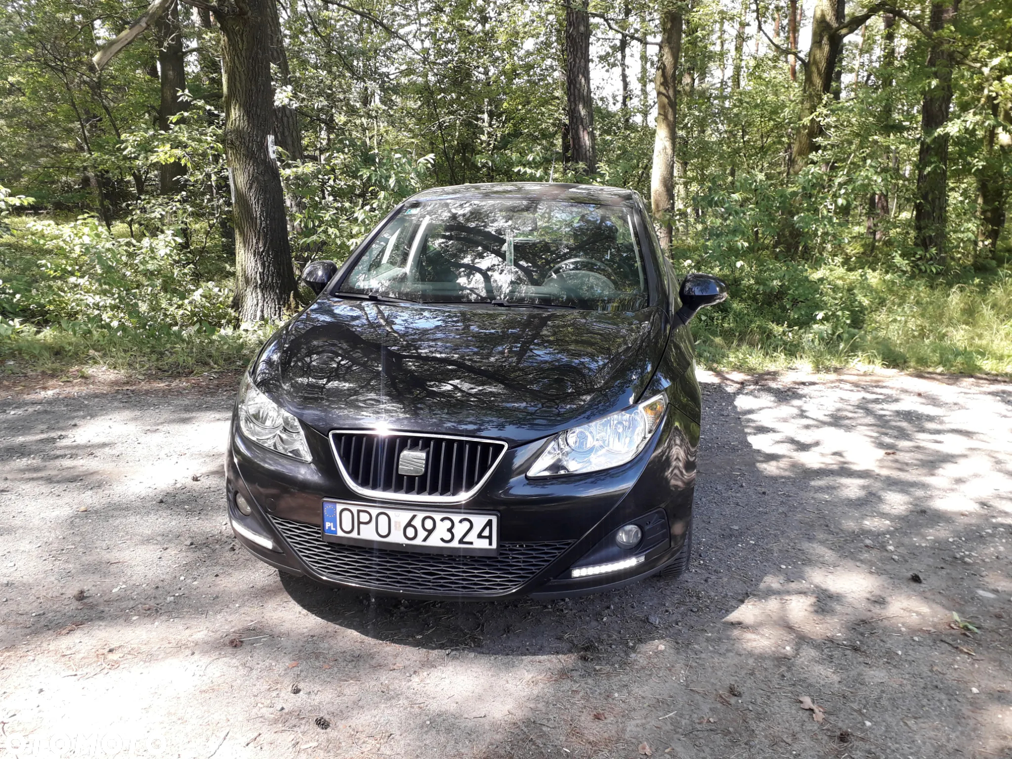 Seat Ibiza - 3
