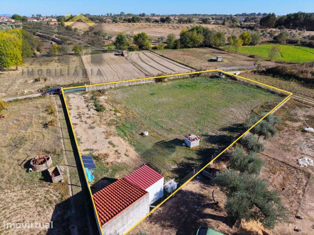 Quinta com 2.000 m² na Lardosa - Grande imagem: 5/6