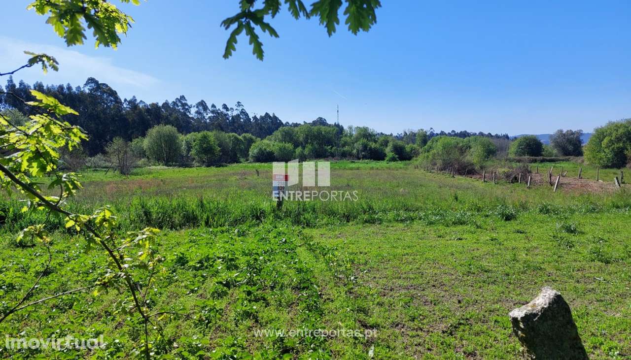 Venda de terreno agrícola, Alvarães, Viana do Castelo - Grande imagem: 2/15