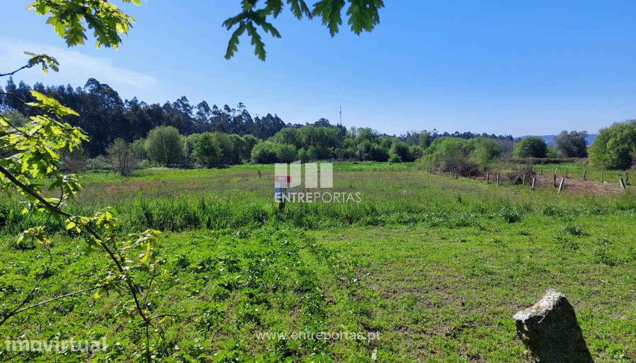 Venda de terreno agrícola, Alvarães, Viana do Castelo - Grande imagem: 2/15
