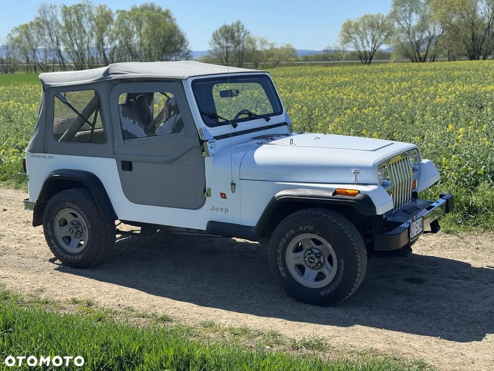 Jeep Wrangler 4.0 - 19