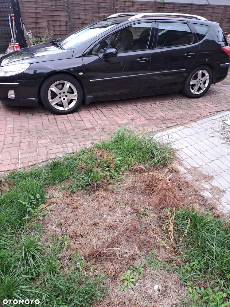 Peugeot 407 - 1
