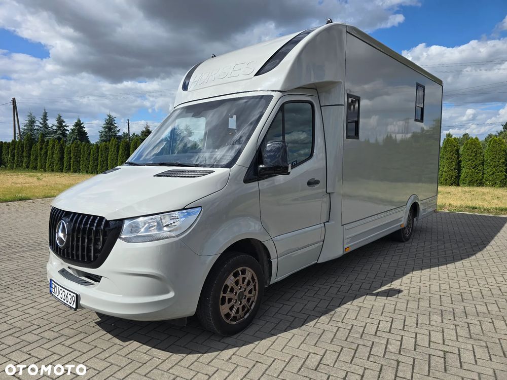Mercedes-Benz Koniowóz-Sprinter - 8