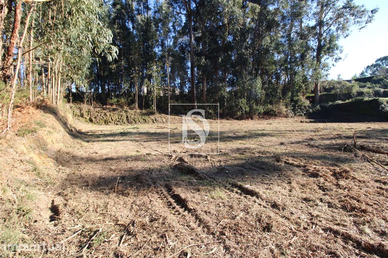 Terreno  Venda em Telões,Amarante - Grande imagem: 4/18
