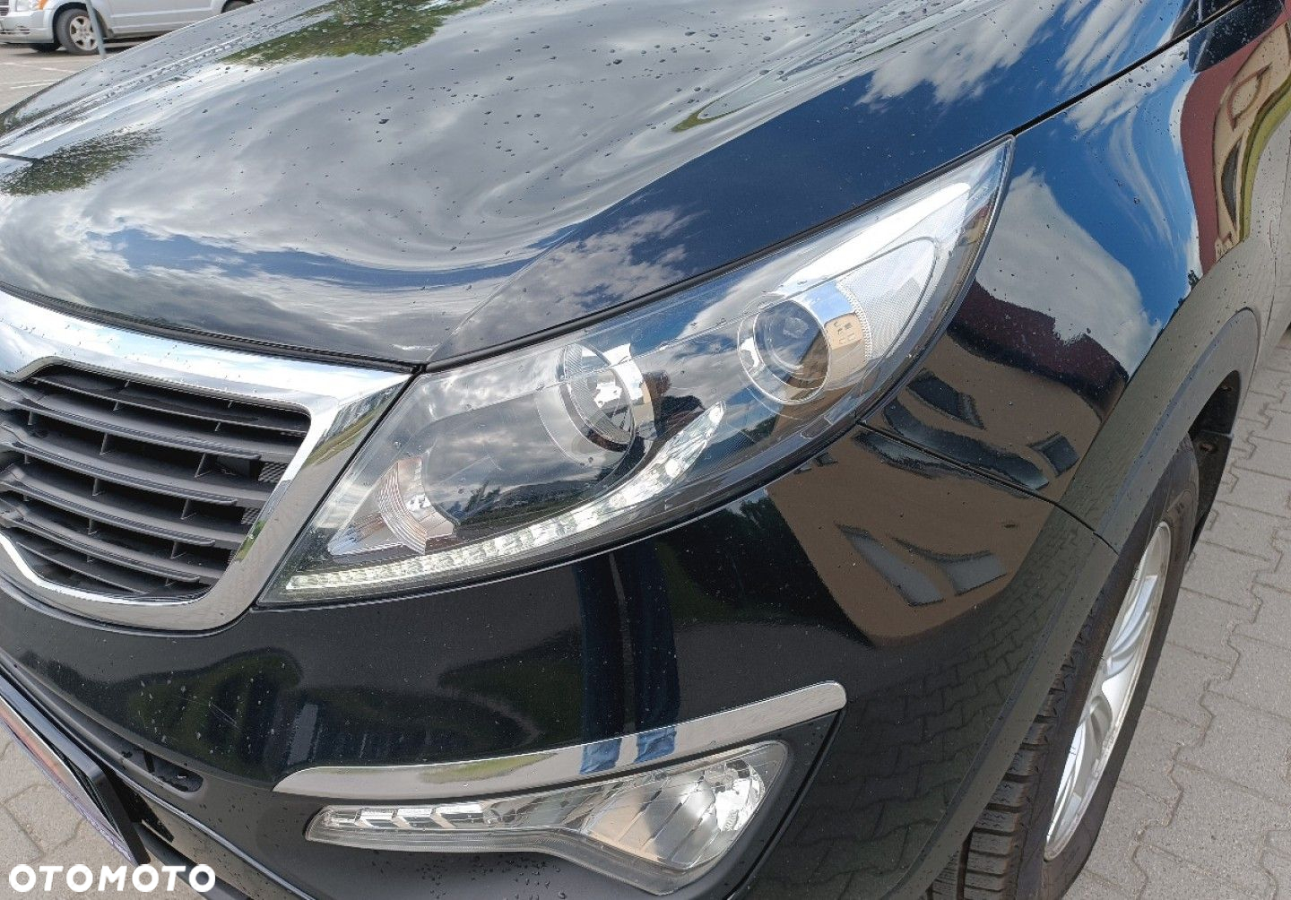 Kia Sportage - 5