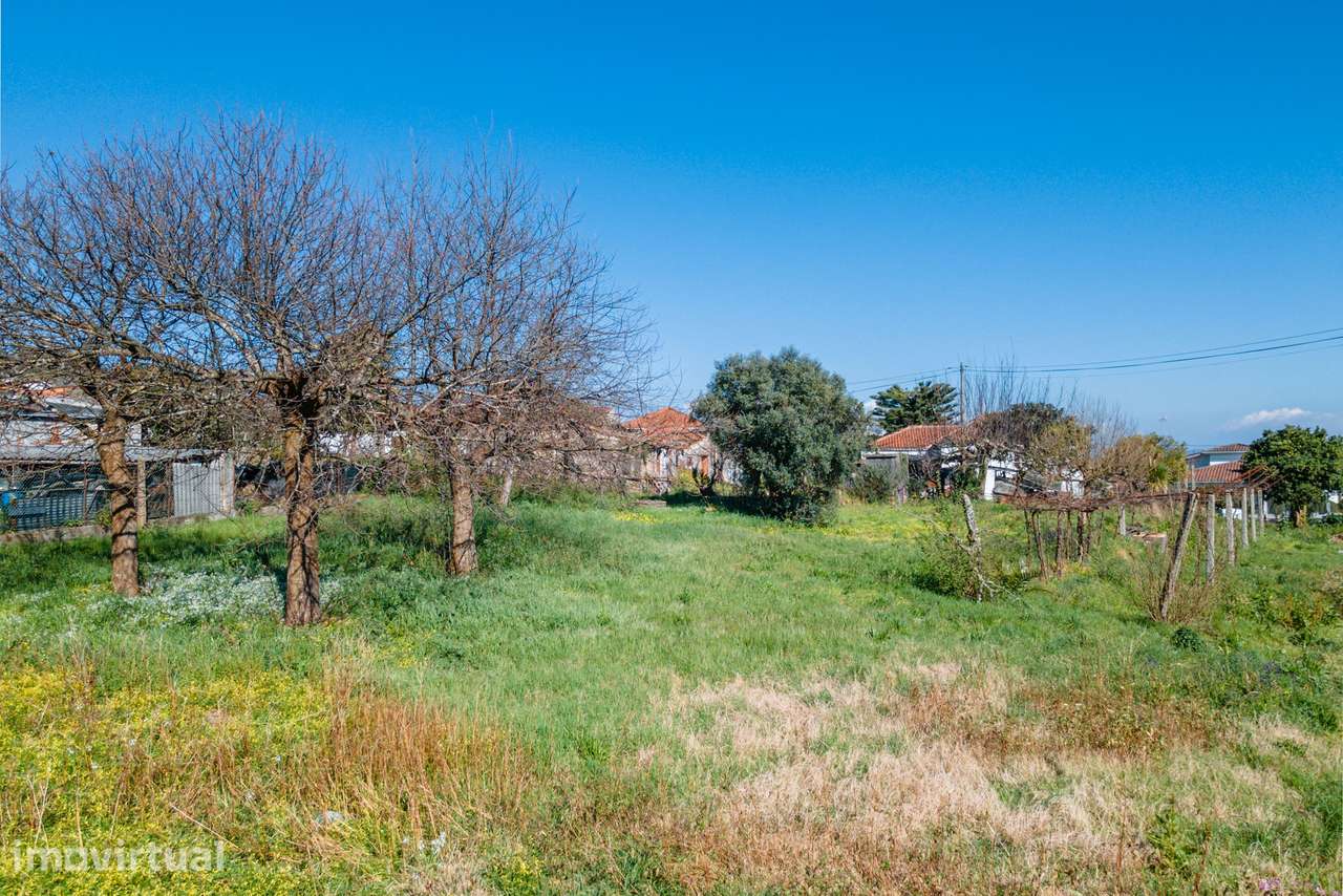 Moradia inserida numa área total de terreno de 2.643 m², em Galegos Sa - Grande imagem: 5/44