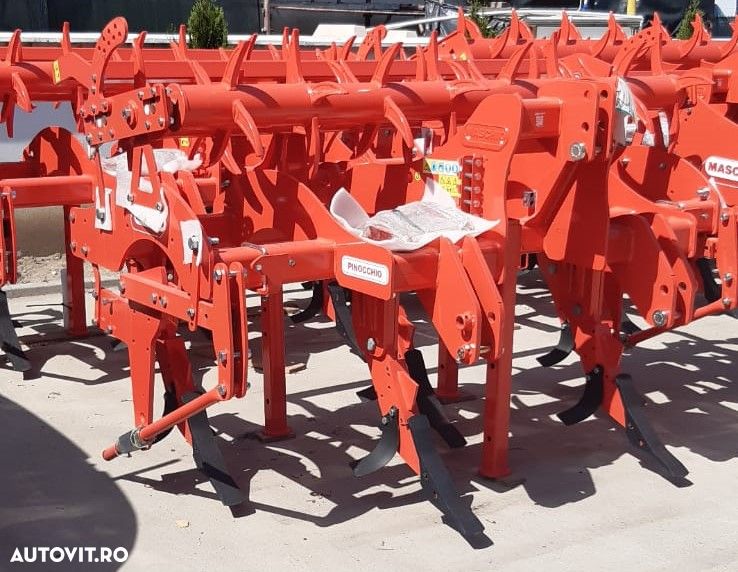 Maschio PINOCCHIO - 1