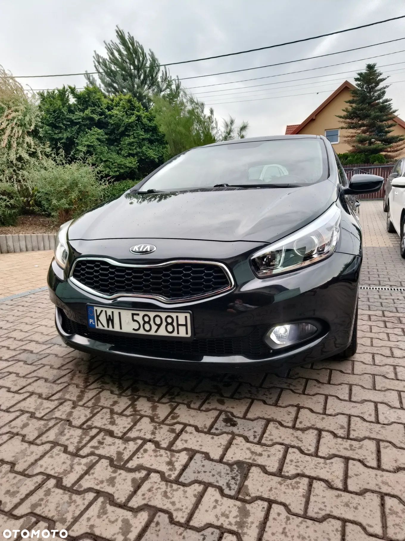 Kia Ceed - 1