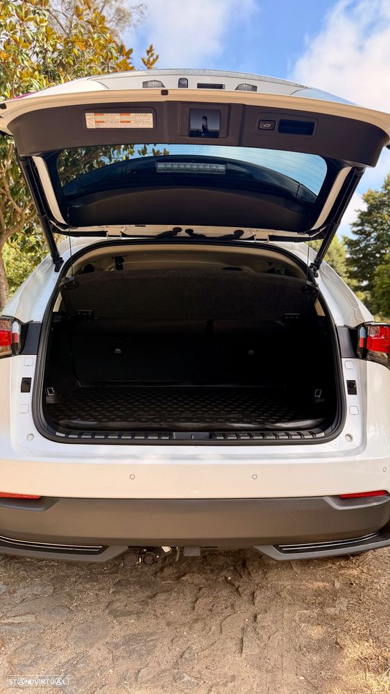 Lexus NX 300h F Sport 4WD - 10