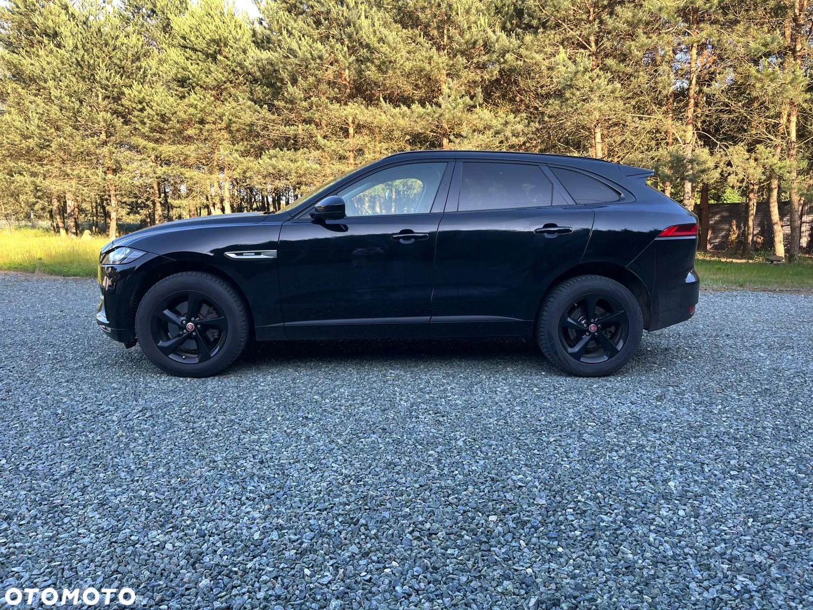 Jaguar F-Pace 30d AWD R-Sport - 5