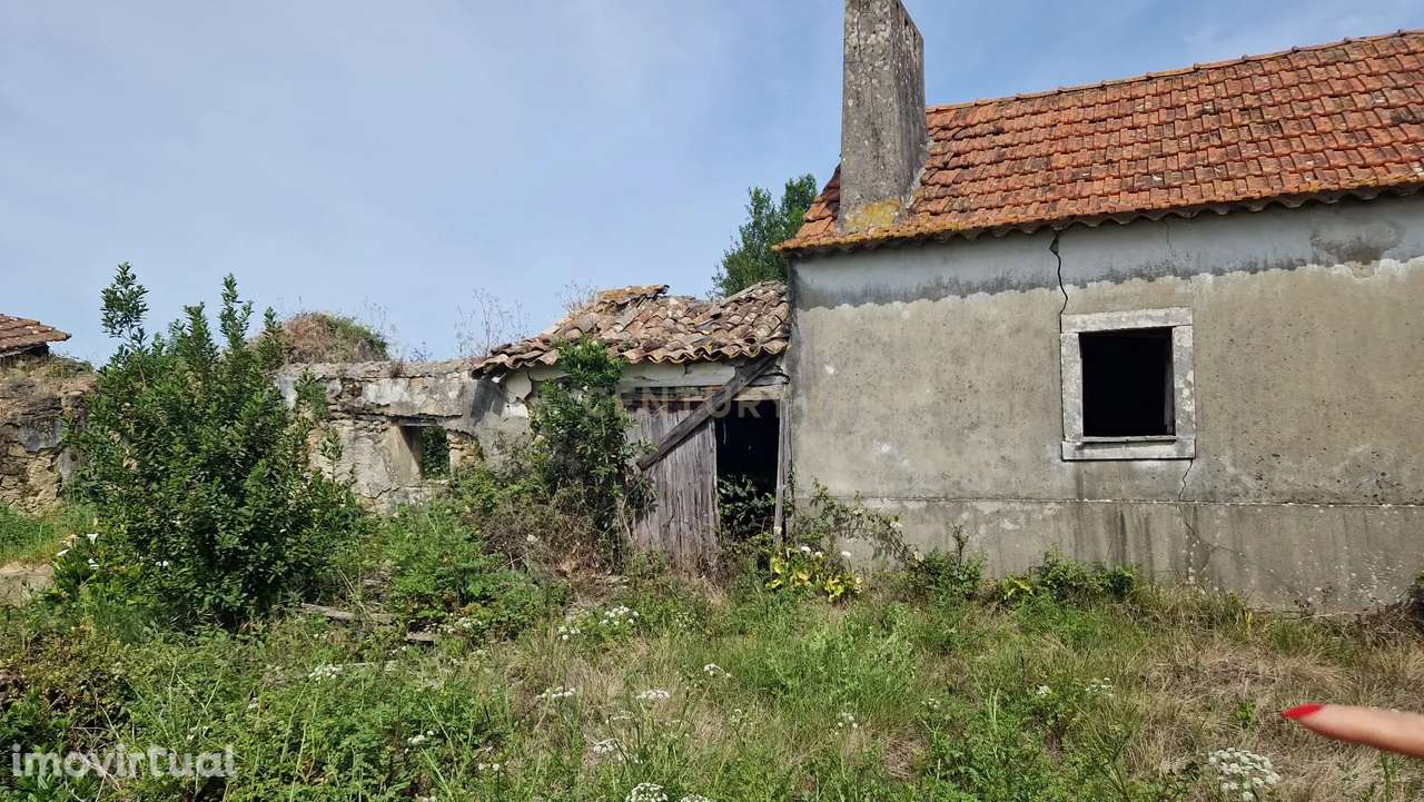 Fantástica Casa de Pedra - Colmeias - Grande imagem: 3/24