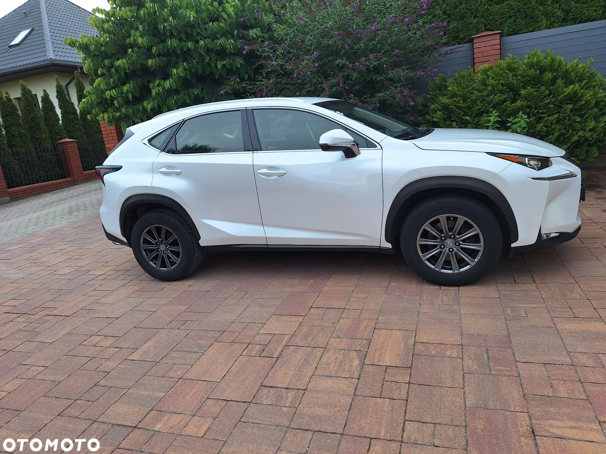 Lexus NX 200t Elite AWD - 19