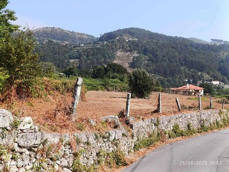 Terreno à venda em Madalena (Jolda) - Grande imagem: 2/12