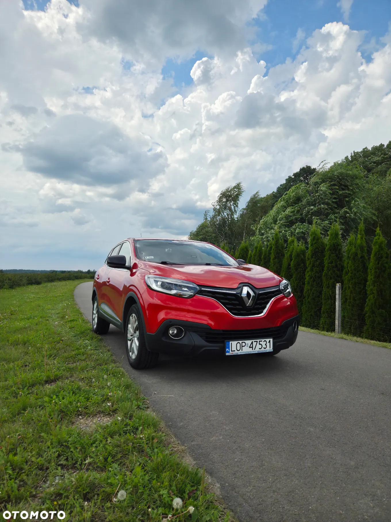 Renault Kadjar - 3