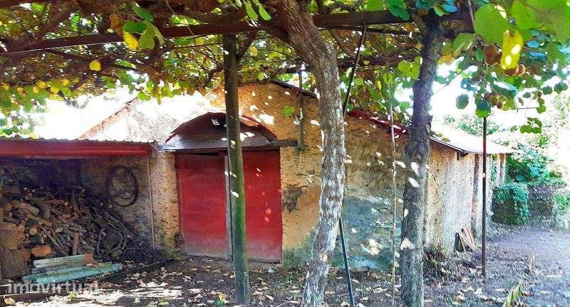 Casa com Terreno - Loureiro/Oliveira Azeméis (Possível Permuta) - Grande imagem: 5/12