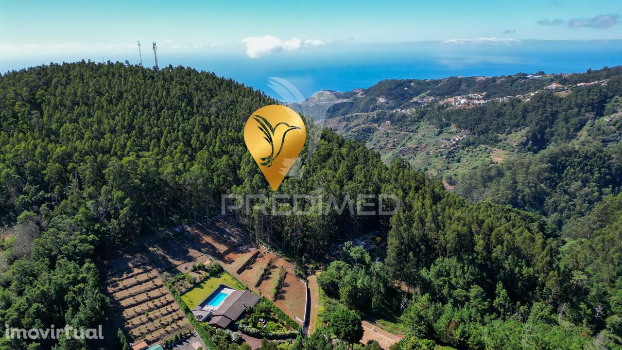 Terreno Rústico 3.355m2 Boqueirao- Gaula - Grande imagem: 2/12