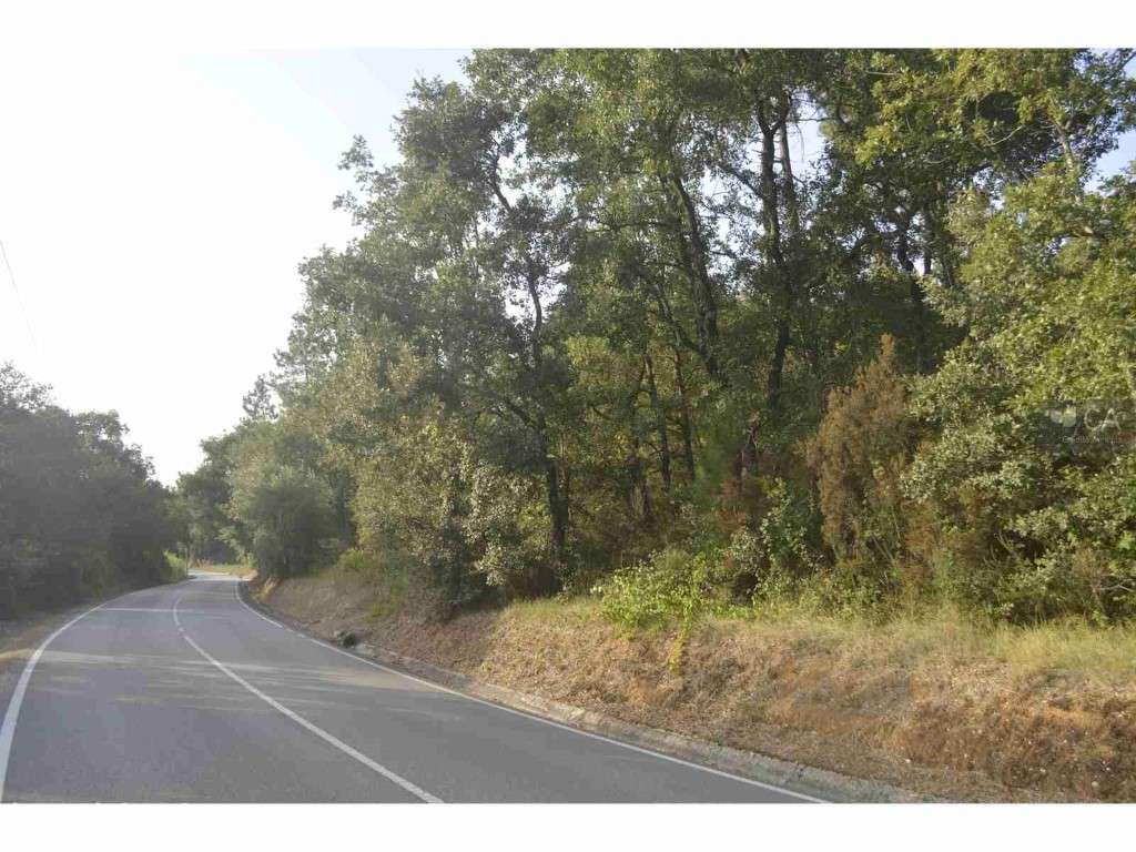 Terreno - Grande imagem: 3/7