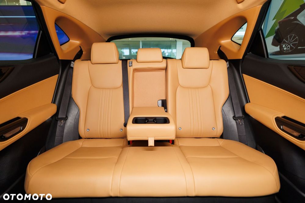 Lexus NX 350h Prestige 2WD - 16