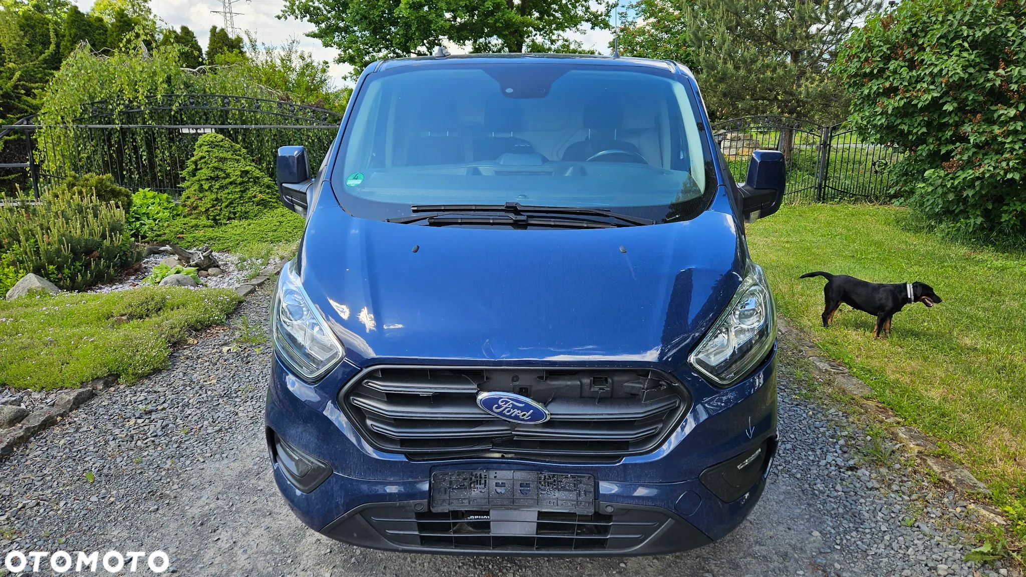 Ford Transit Custom - 1