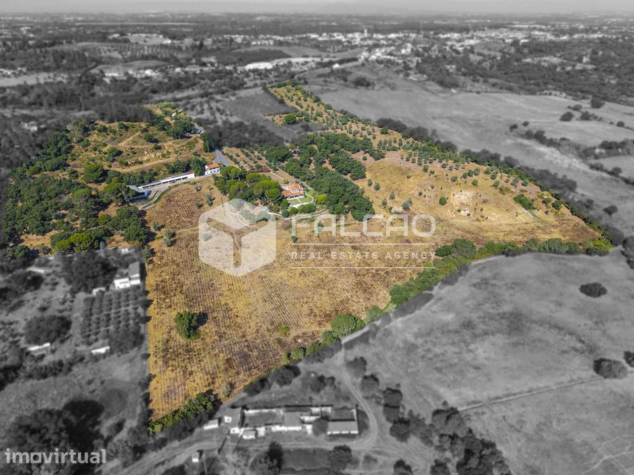 Quinta T5 Venda em Póvoa da Isenta,Santarém - Grande imagem: 5/60
