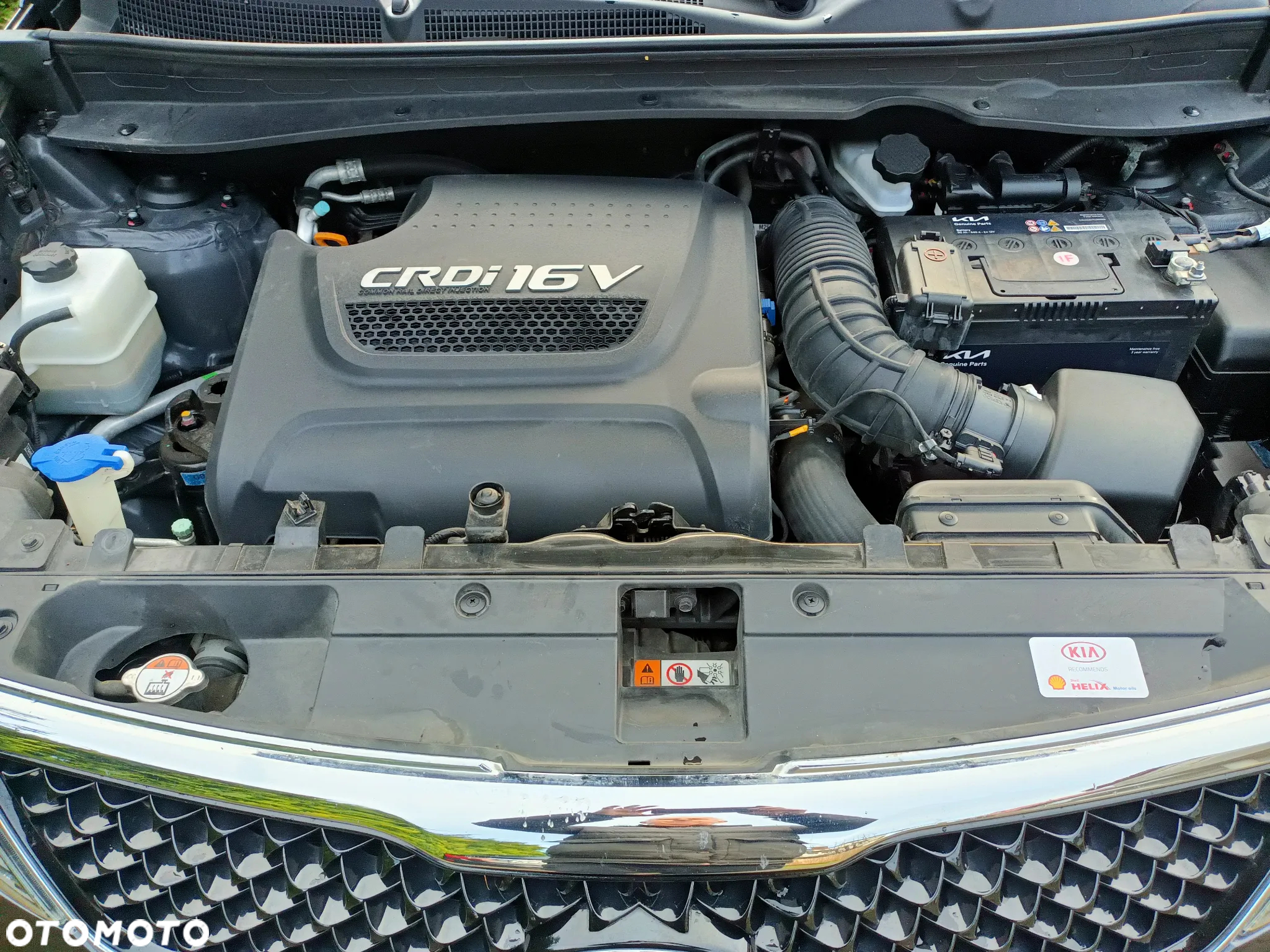 Kia Sportage - 24