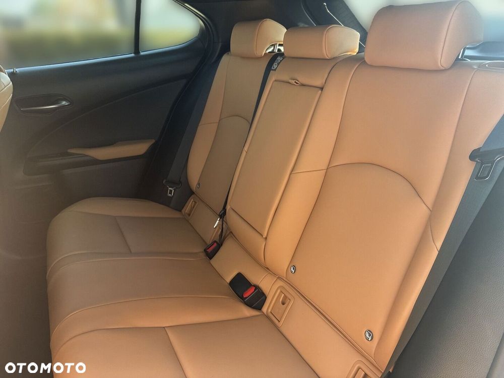 Lexus UX 300h F Sport Design AWD - 16