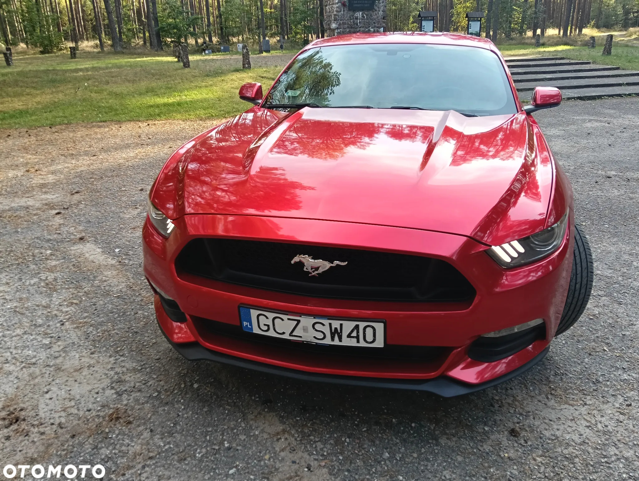 Ford Mustang - 2