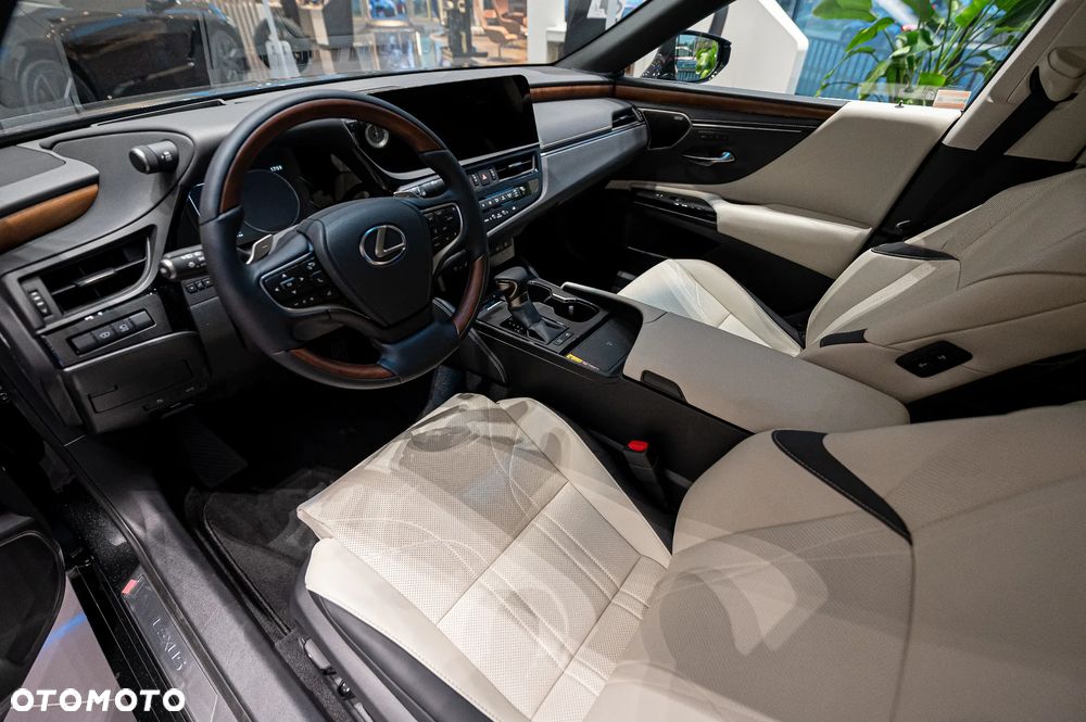 Lexus ES 300h Omotenashi - 14