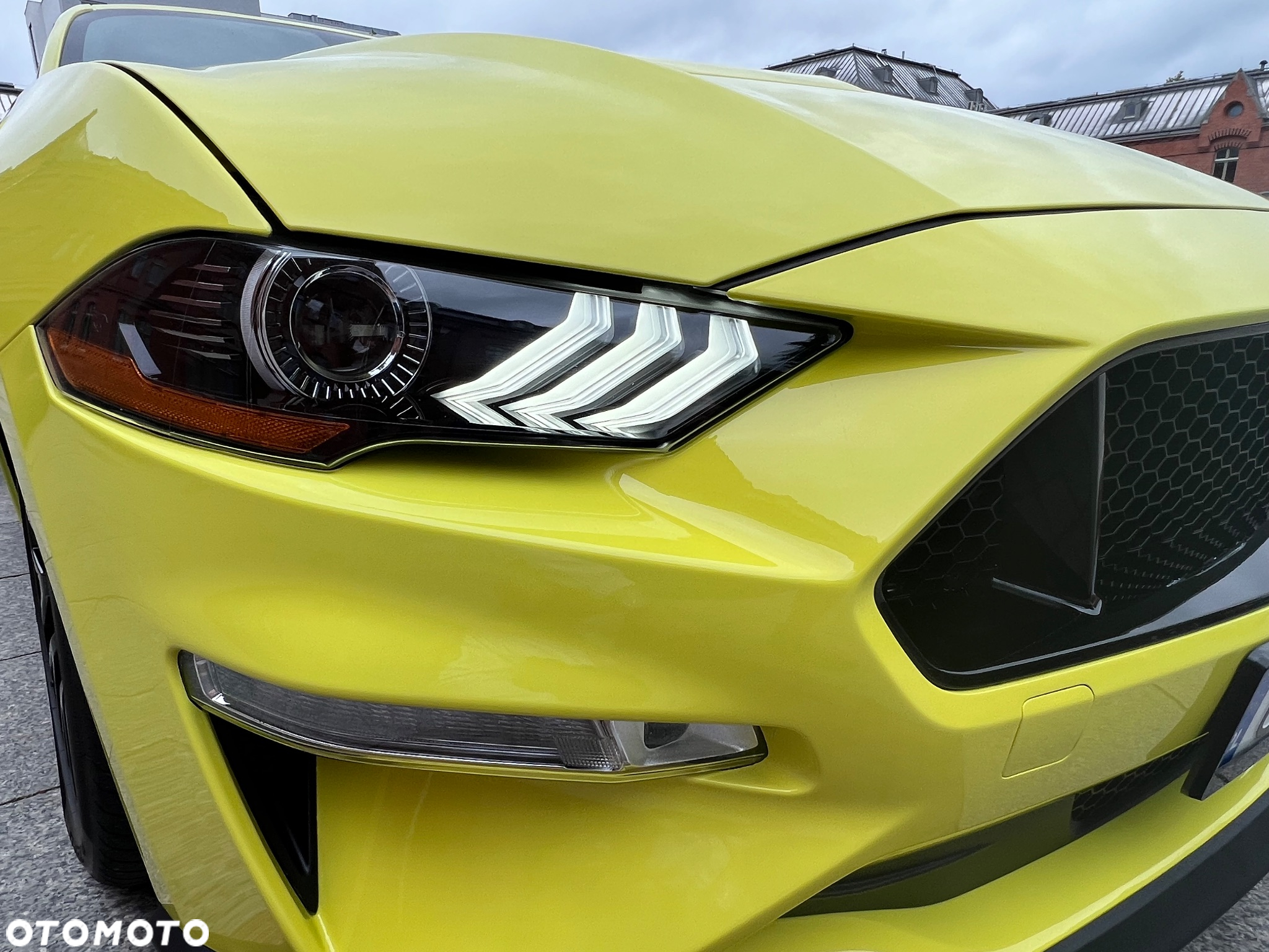 Ford Mustang 5.0 V8 Mach 1 - 27