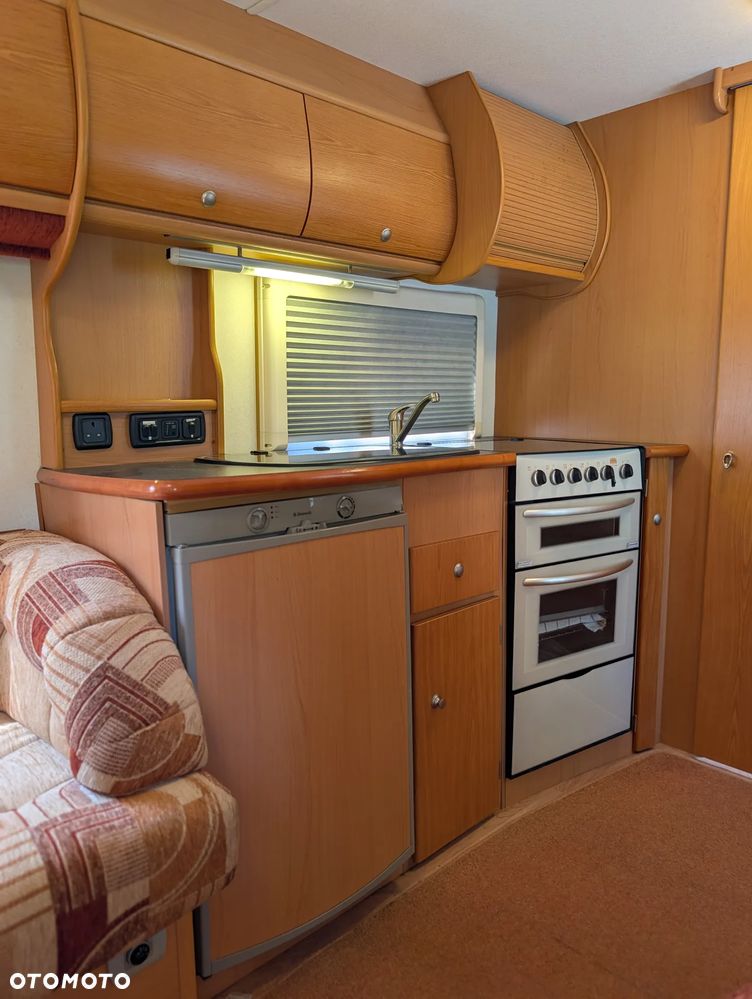 Avondale Golden Avocet - 9