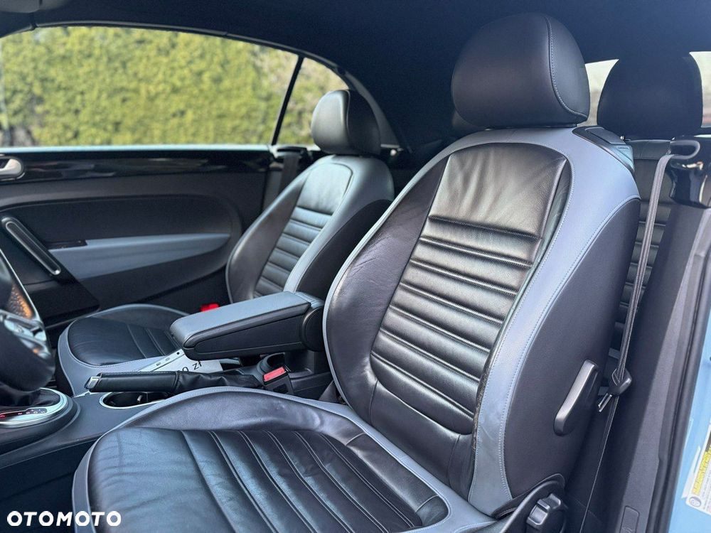 Volkswagen Beetle - 8