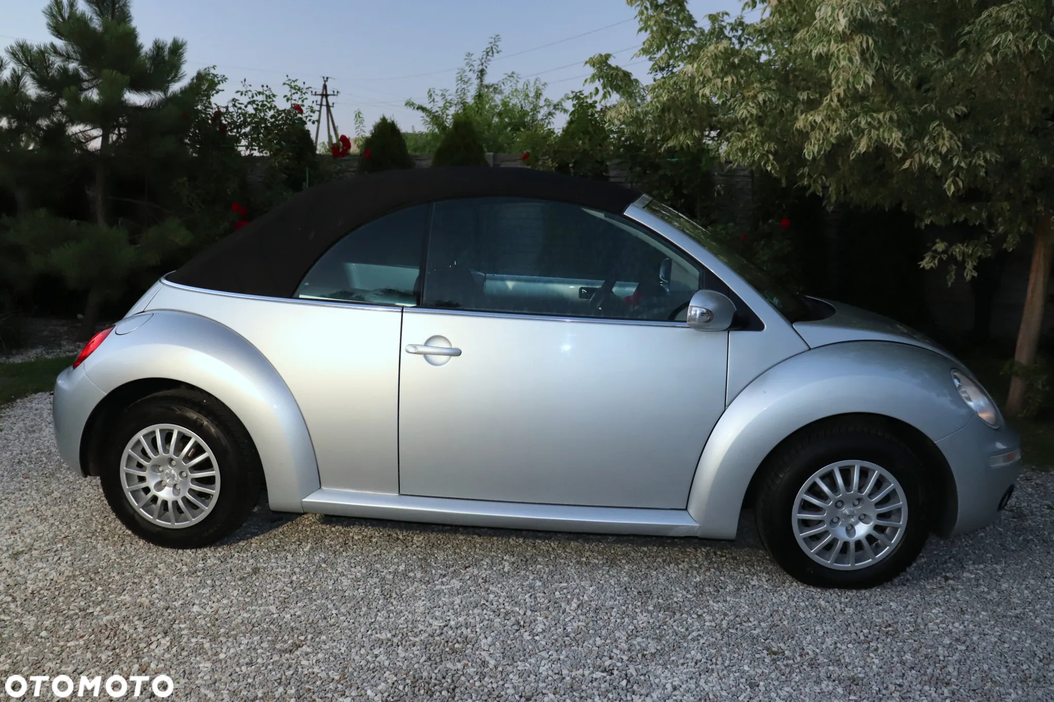 Volkswagen New Beetle Cabriolet 1.4 - 24