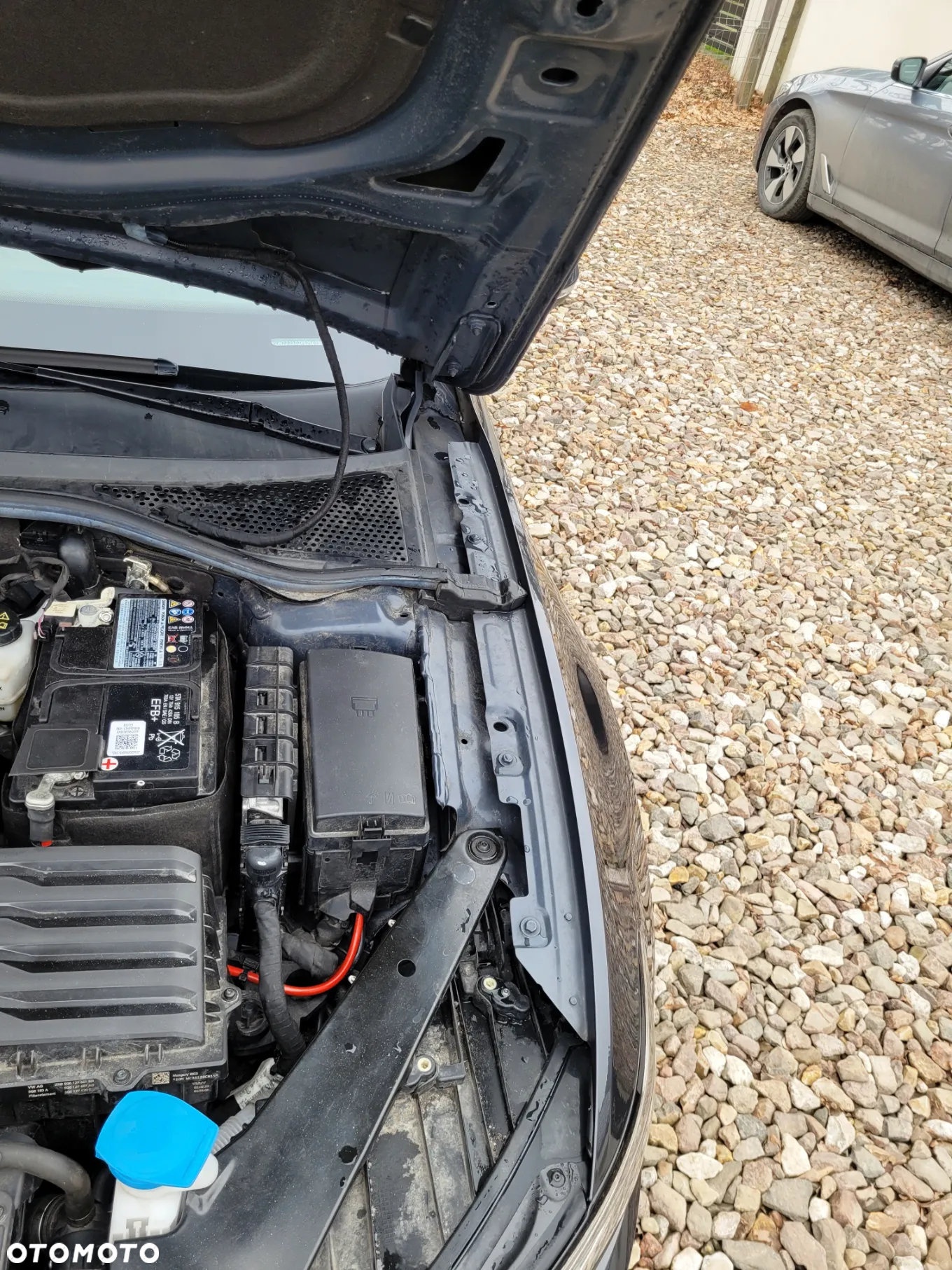 Volkswagen Passat 1.5 TSI EVO Business DSG - 36