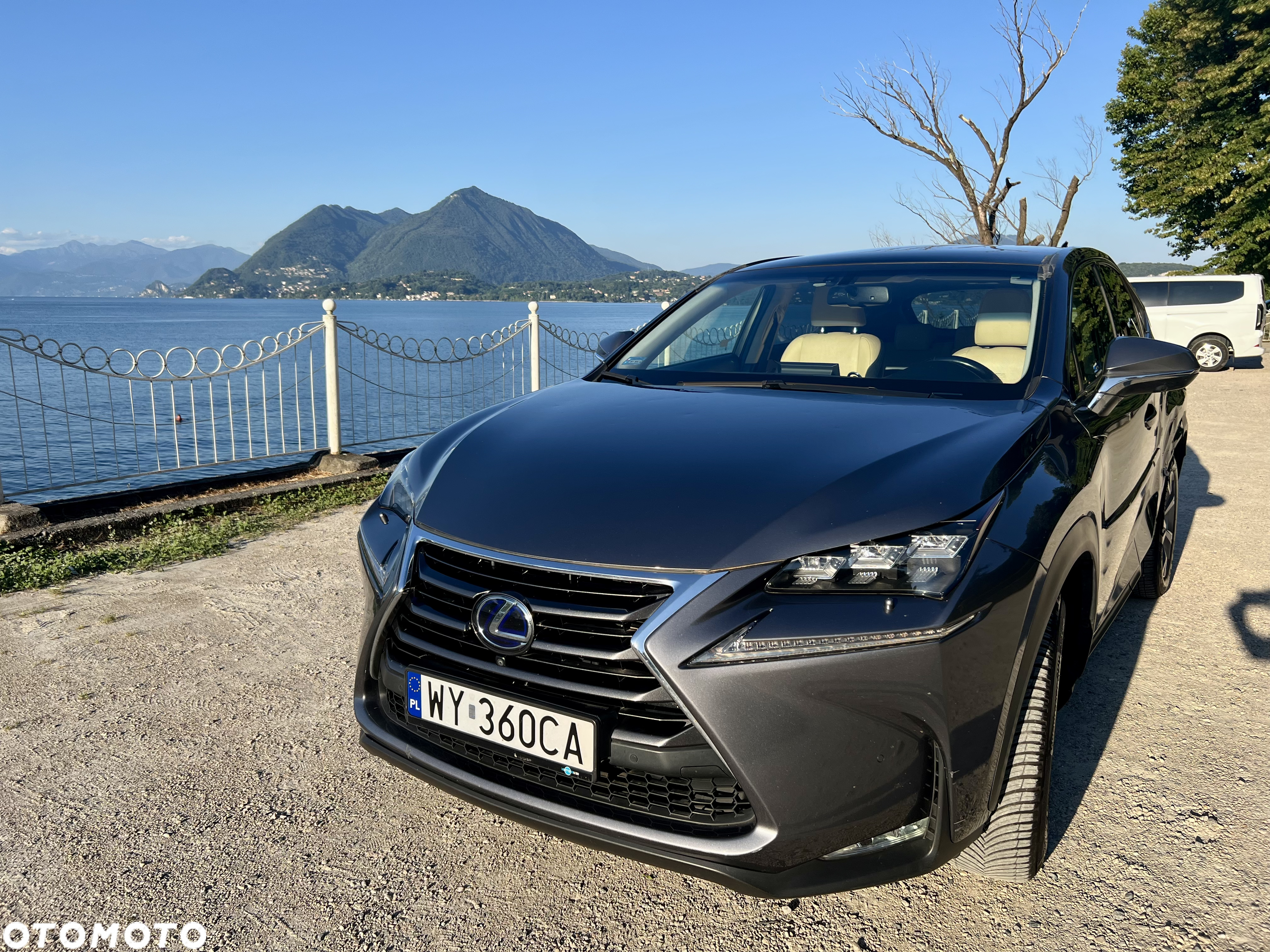 Lexus NX 300h Prestige AWD - 2