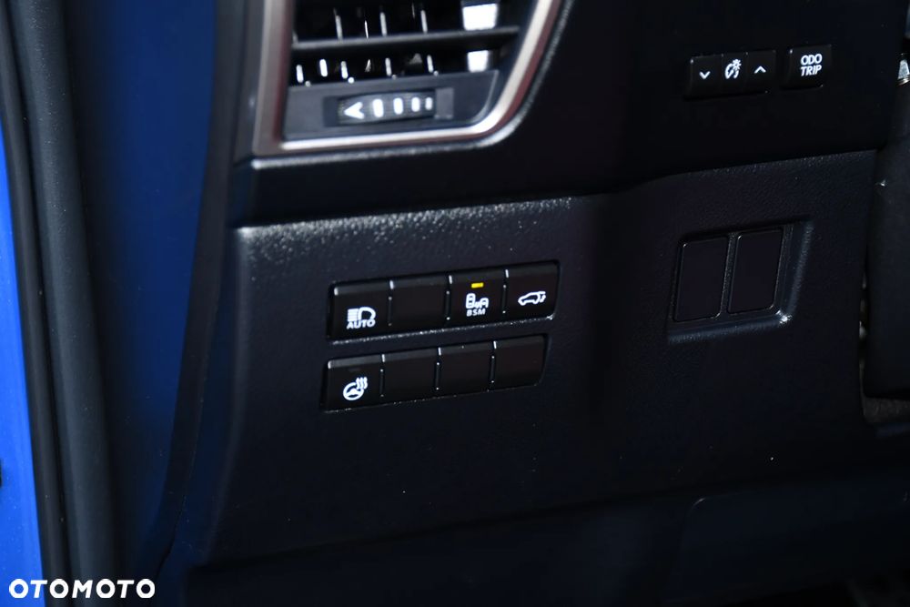 Lexus NX 300h E-FOUR F SPORT - 24