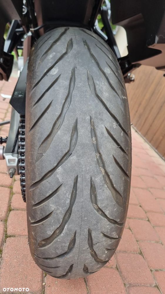 Triumph Tiger - 17