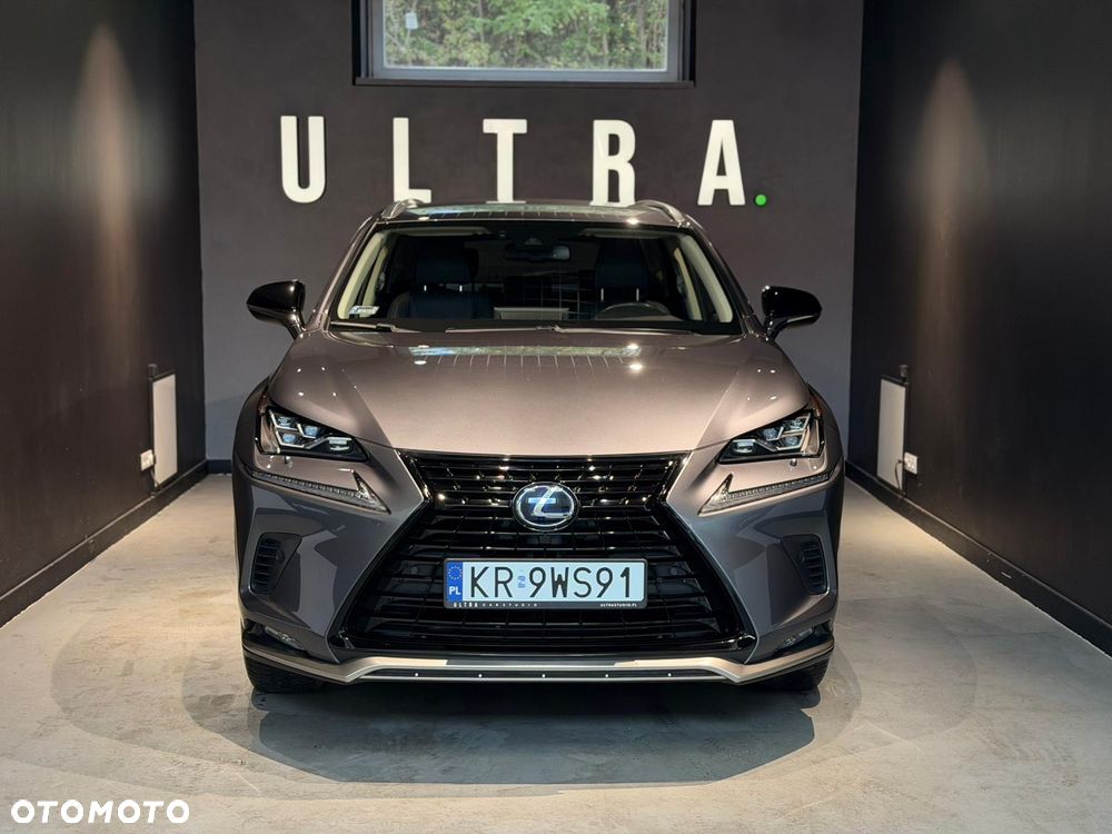 Lexus NX - 1
