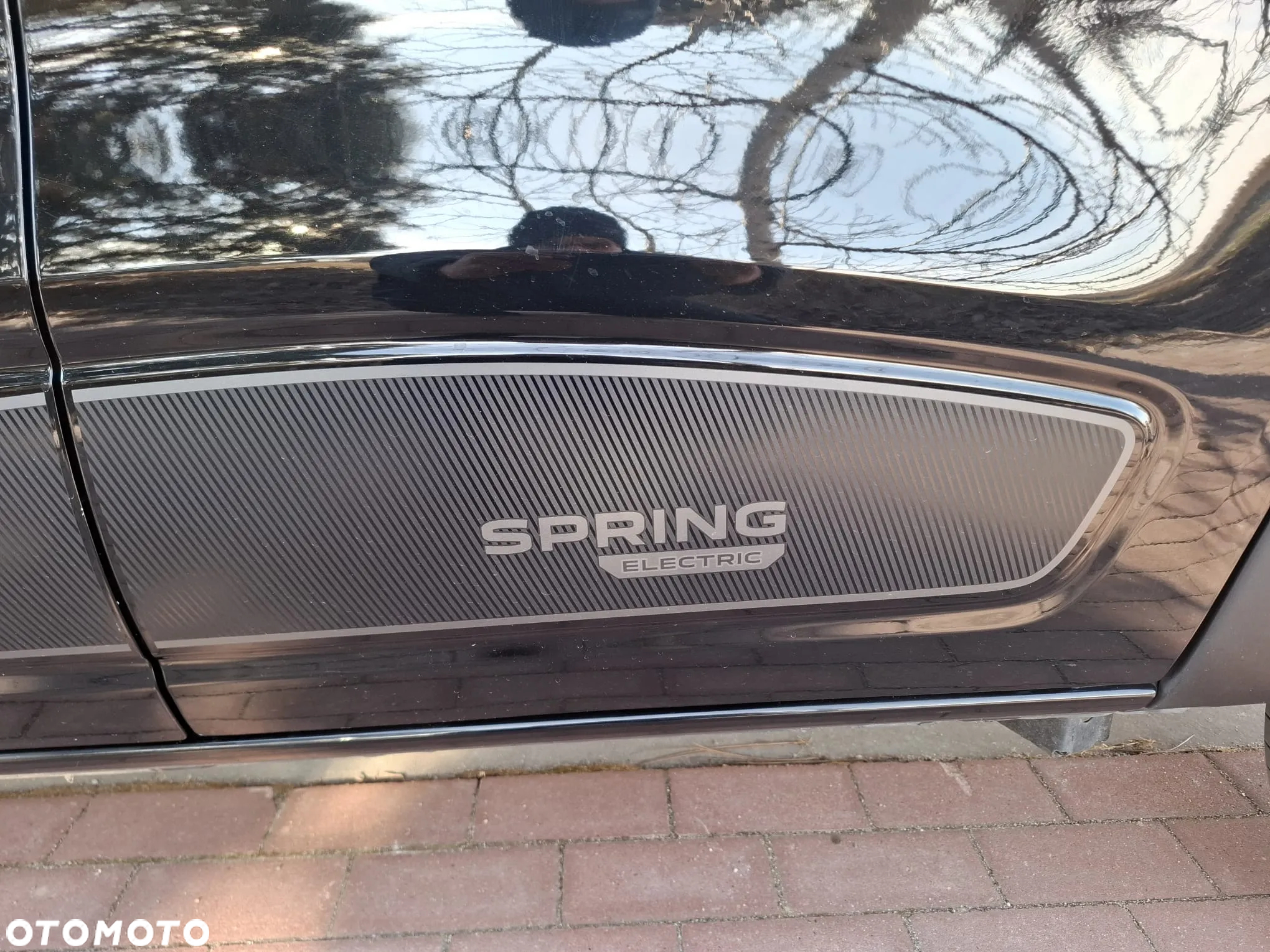 Dacia Spring - 31